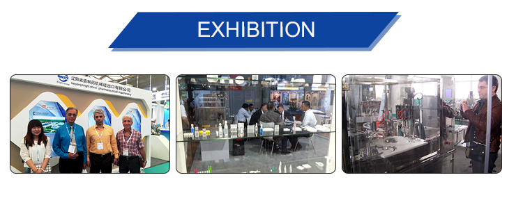 Automatically Green Tea/Black Tea Tea Packaging Machine with Outer Bag, Thread, Tag Dxdc8IV