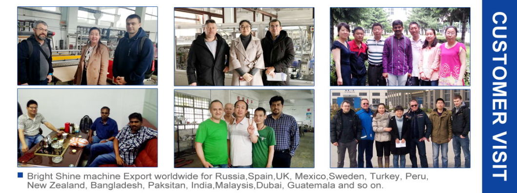 Pharmaceutical Manufacturing Servo Motor Blister Packing Machine of Tablet/Capsule/Pills Assembly Line