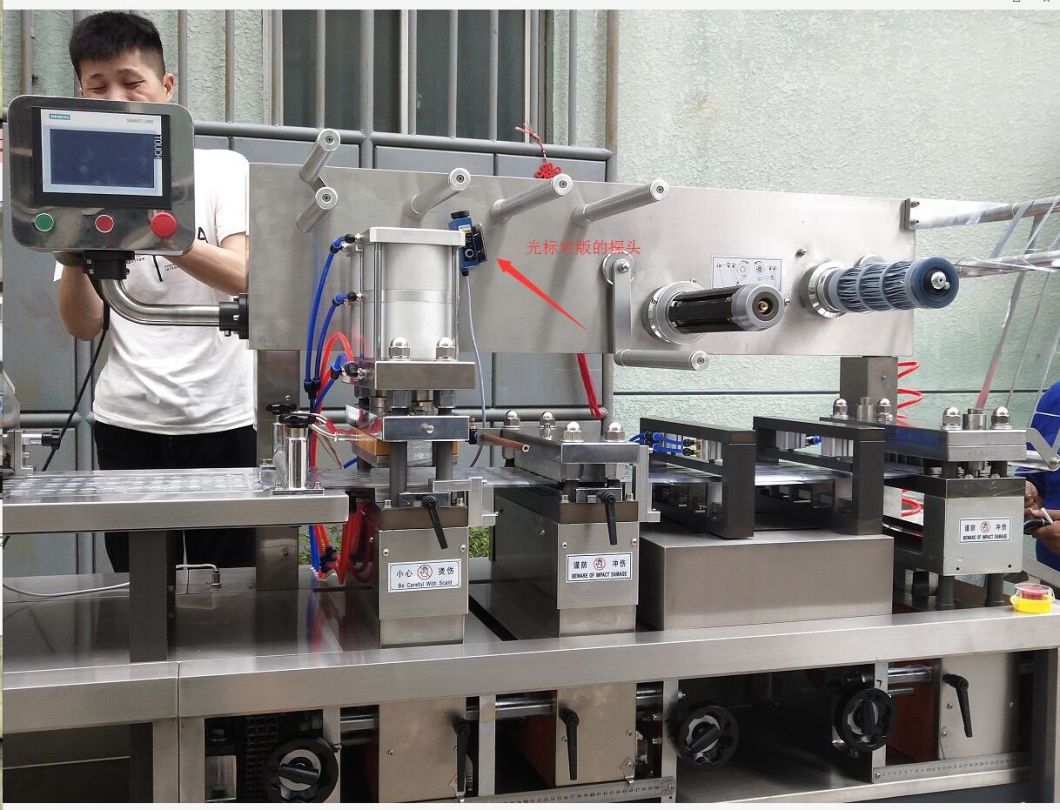 High Speed Automatic Tablet/Capsule Blister Packing Machine (Dpp250)