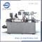 Pharmaceutical Manufacturing Machine Liquid Plastic Blister Packing Machine Dpp-250