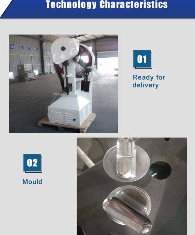 Thp Medical Pharmaceutical and Food Industry Tablet Press