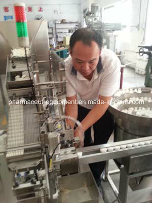 SUS304 Pharmaceutical/Medical/Food Effervescent Tablet Filling Counting Packing Machine (BSP-40)