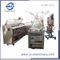 Fully Suppository Automatic Plastic Thermoforming Filling Sealing Machine